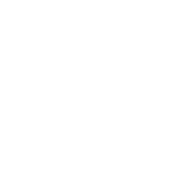 musician