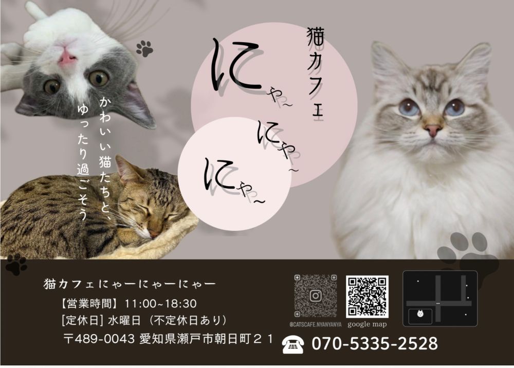 猫カフェにゃーにゃー